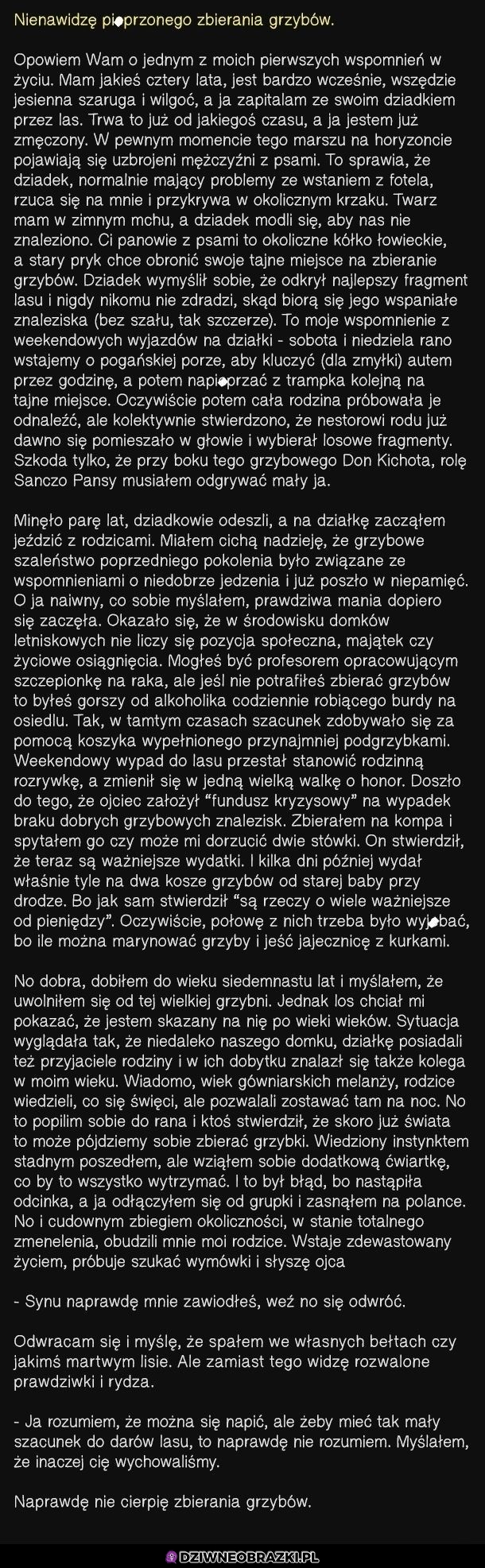 I dlatego nienawidzę zbierania grzybów