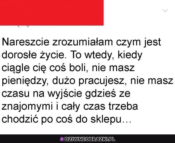 To właśnie dorosłość