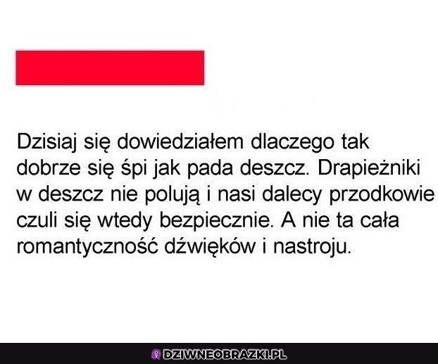 A to dlatego A to dlatego