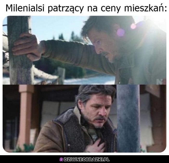 Nie da się z nimi żyć