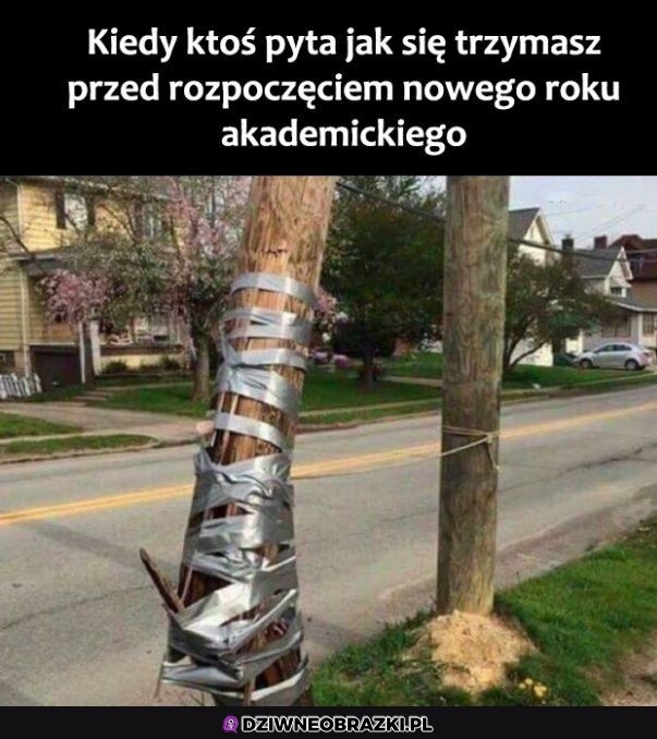 Tak się trzymamy