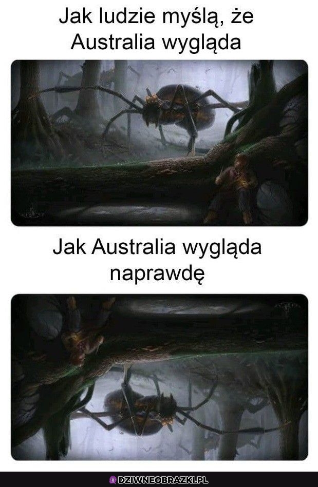 Tymczasem Australia