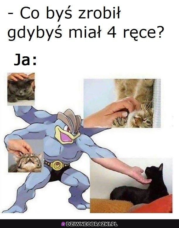 Właśnie to