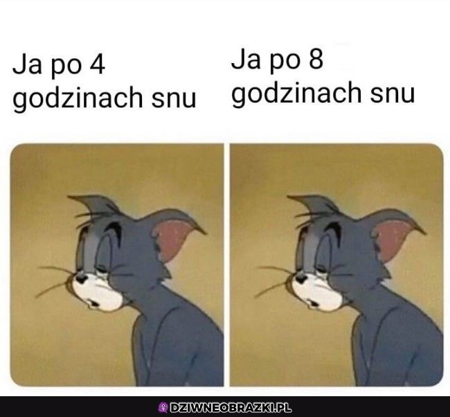 Nie ma większej różnicy