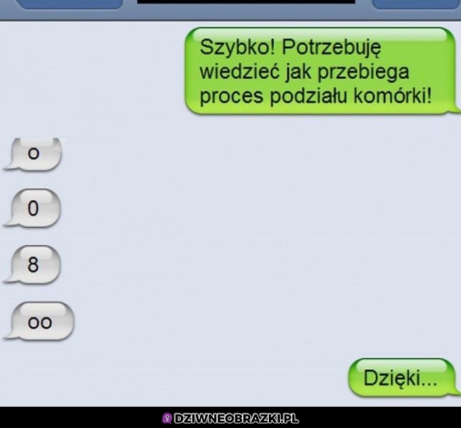 Trzymaj podział
