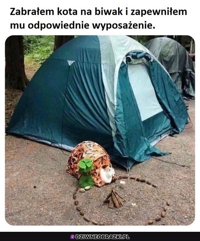 Koci biwak
