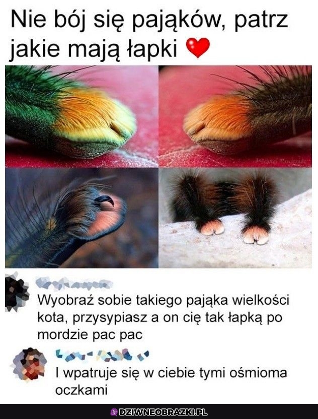 Przerażająco urocze