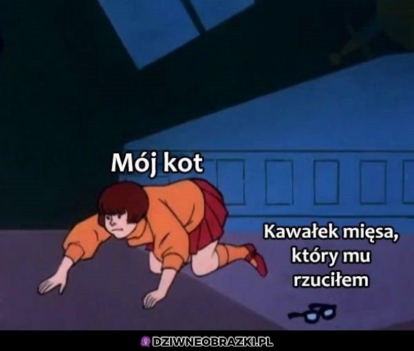Niewidomy