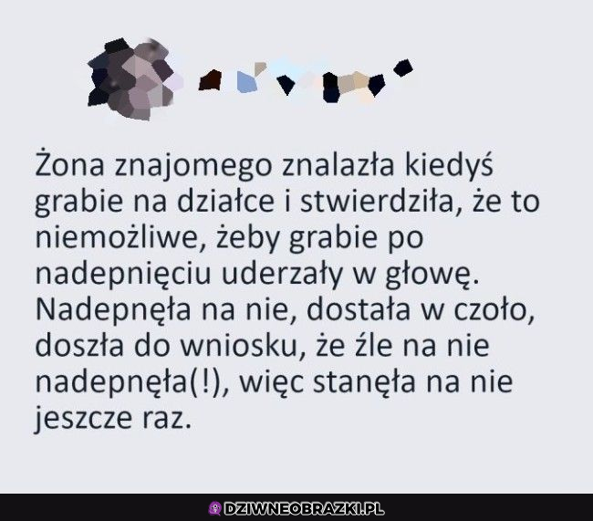 Kiedy masz mądrą inaczej babe