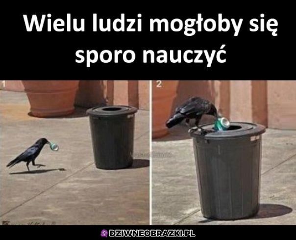 Uczcie się