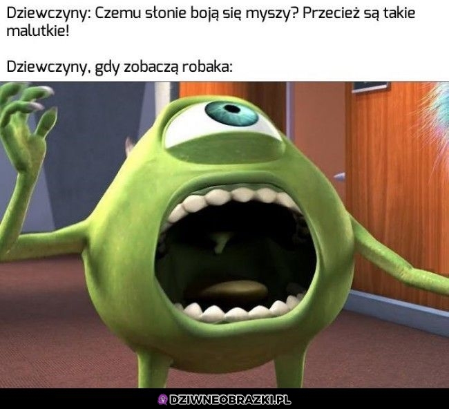 No ciekawe ciekawe