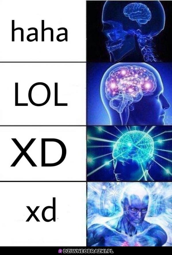 Poziomy beki