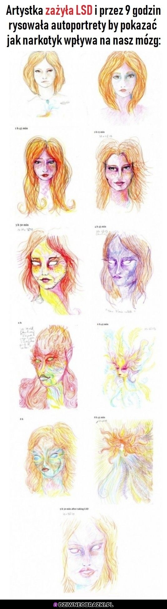 Portrety na LSD