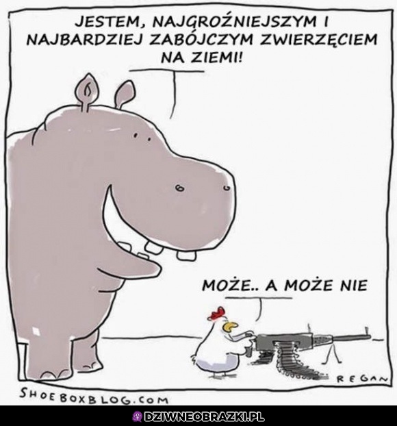 Niebezpiecznie zwierze