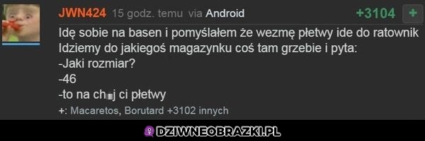 Płetwy