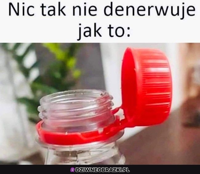 Ale przecież ratujemy świat...