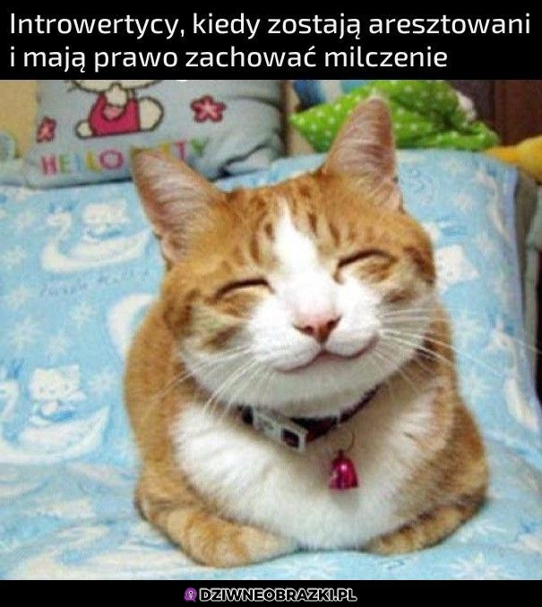 Nic się nie dowiecie