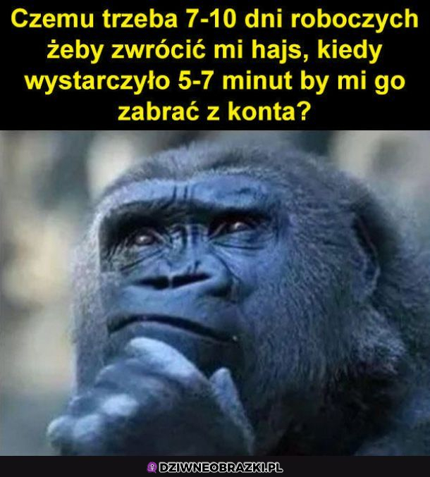 Dlaczego tak??