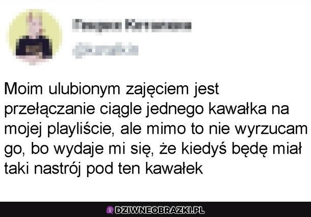 Ulubione zajęcie