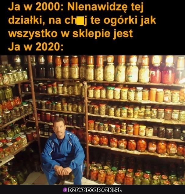 A jednak warto było