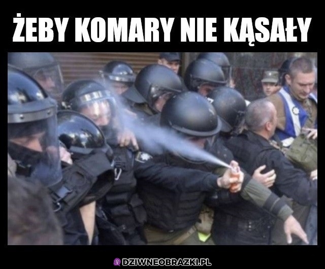 Popsikane