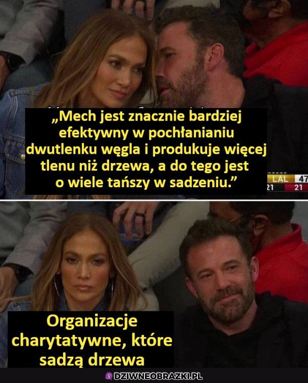 Organizacje charytatywne