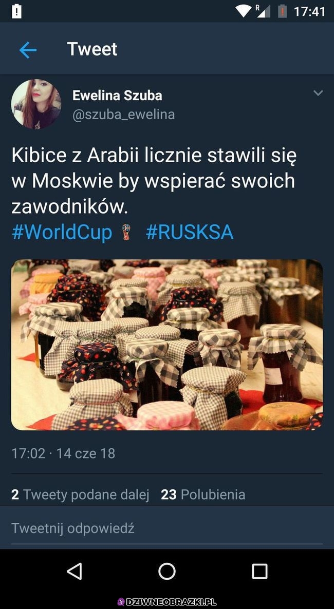 Kibice