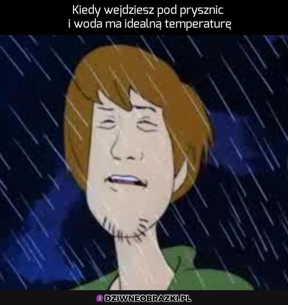 Ten moment