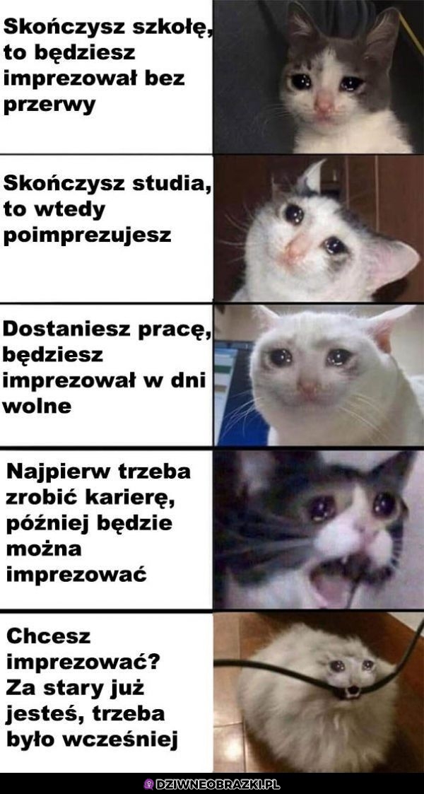 Imprezowanie