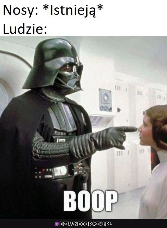 Nosy po to są