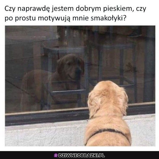 Kim naprawdę jestem