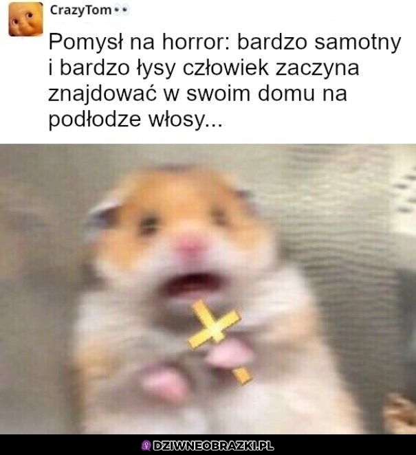 Pomysł na horror