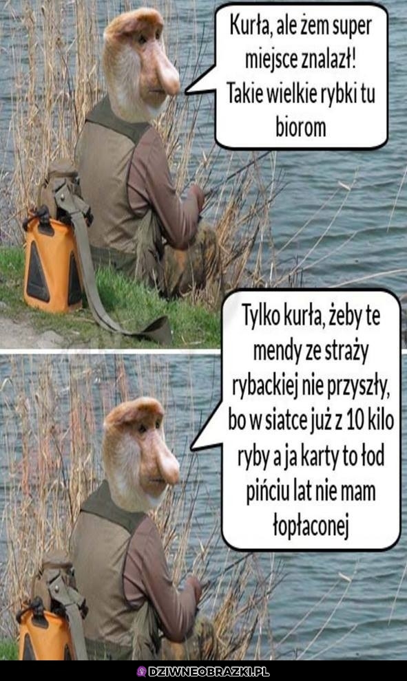 Biorą