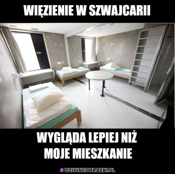 Bez kitu
