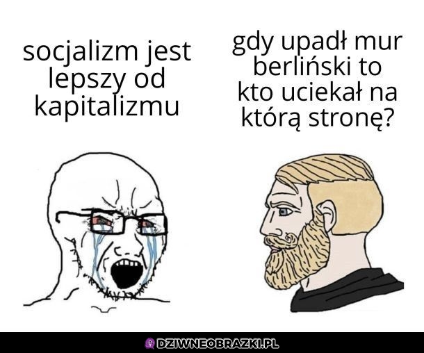 Tyle w temacie