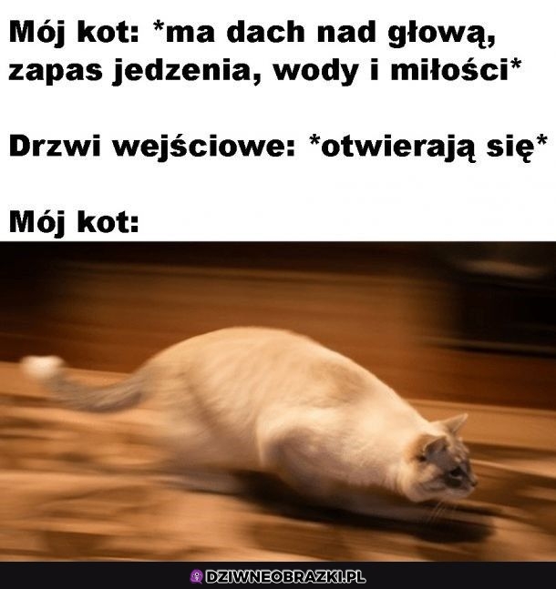 Za każdym razem
