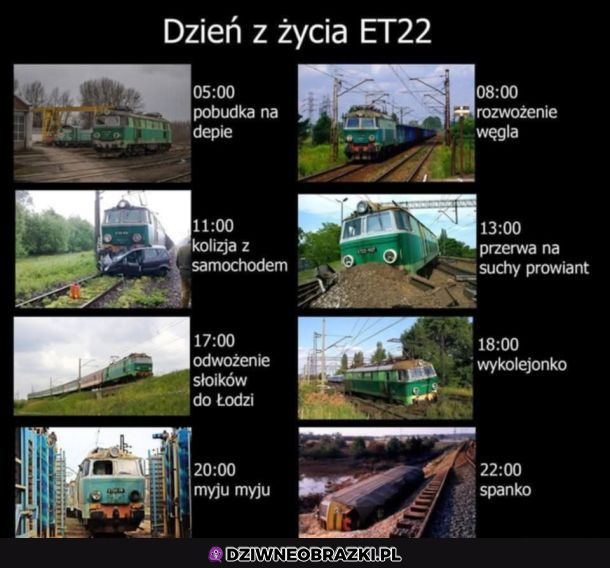 Dzień z życia
