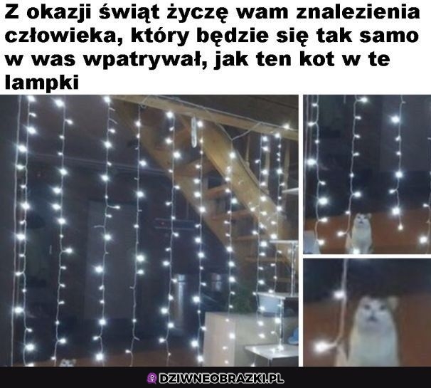 Znajdźcie kogoś takiego