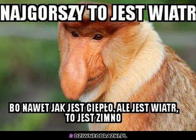 Najgorszy