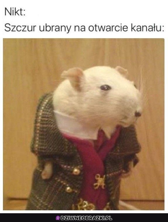 Ubrany