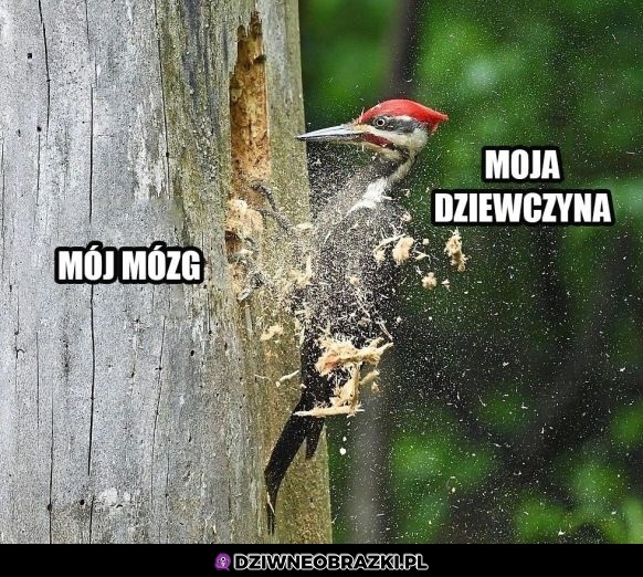 Tak to widzę