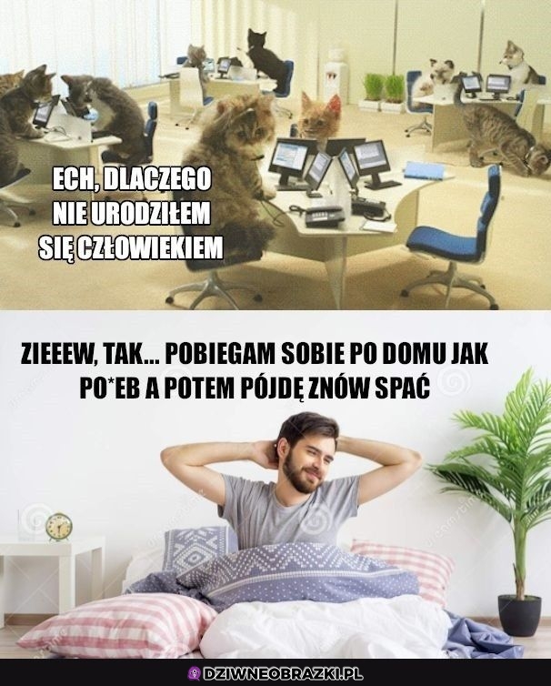 W odwrotnym świecie