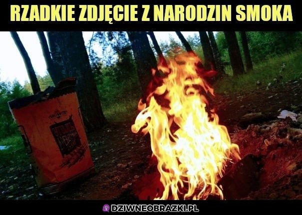 Narodziny smoka