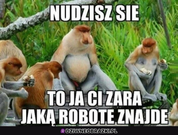 Zawsze jak mam wolne