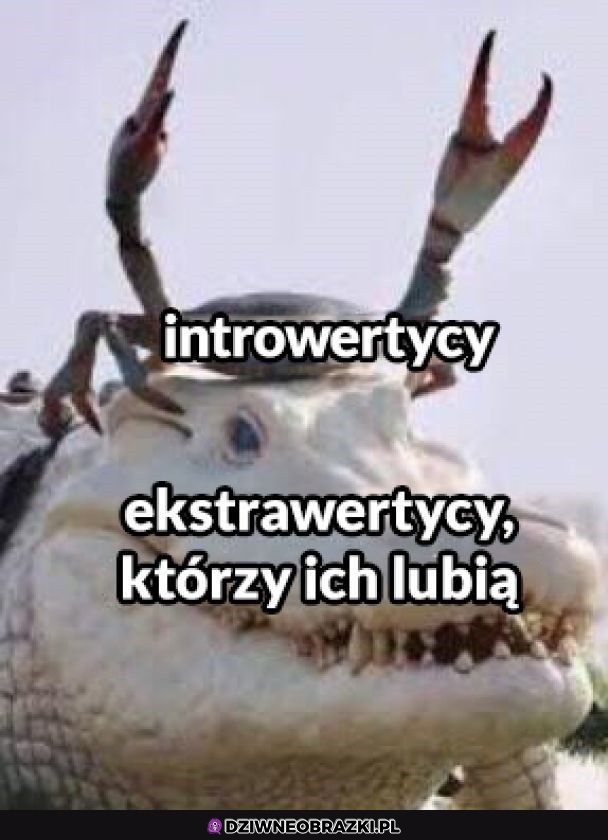 To oni