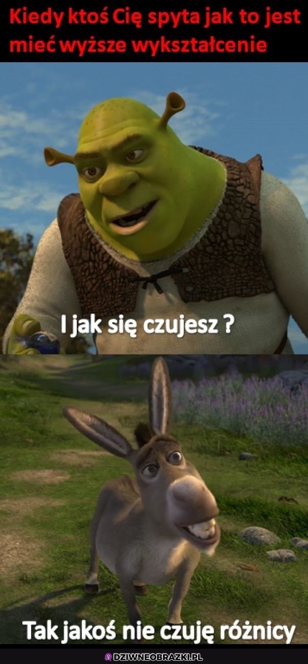 I jak wrażenia?