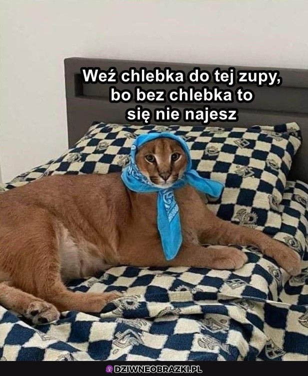 Chlebka sobie weź