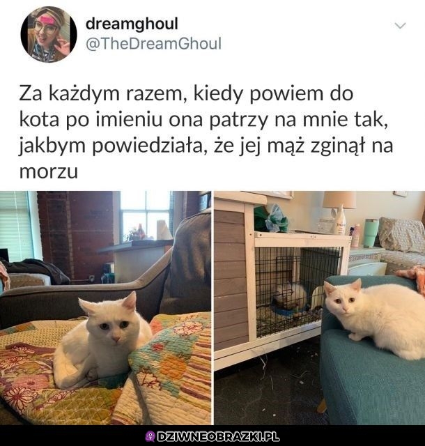 To spojrzenie