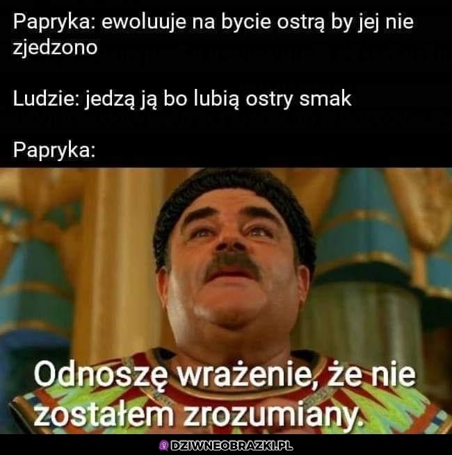 To miała być obrona