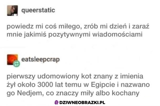 Coś pozytywnego